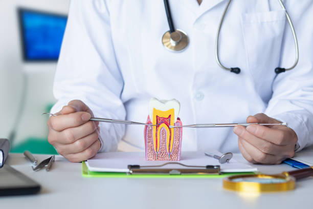 Best Broken or Cracked Tooth Emergency Dentist in Cottage Grove, OR